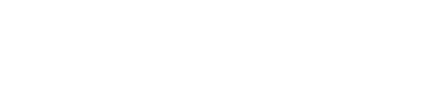 Future Link